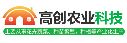 濰坊圣旋機(jī)械有限公司